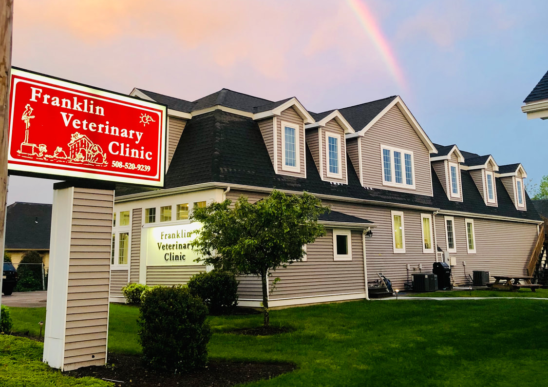 Franklin Veterinary Clinic Front